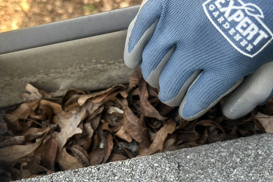 Gutter Cleaning Gate City